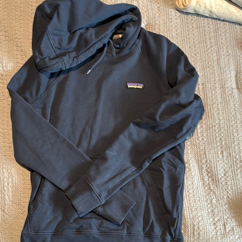 Patagonia Organic Cotton Hoodie
